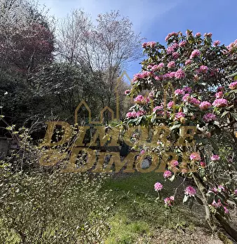 Foto annuncio 9