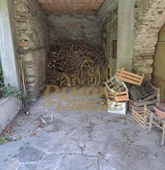 Foto annuncio 60