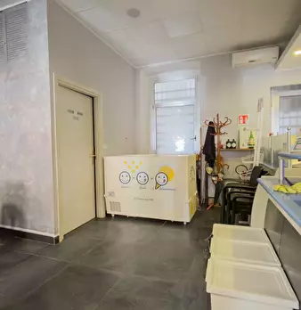 Foto annuncio 10