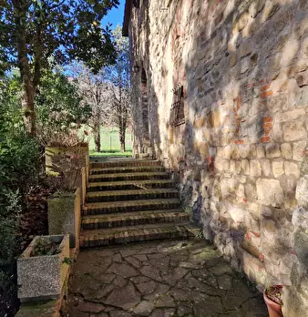 Foto annuncio 67