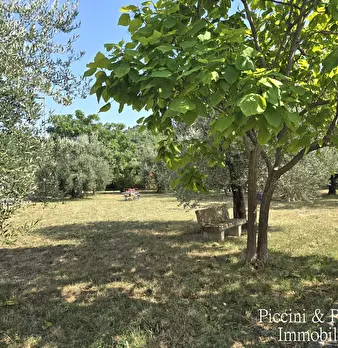 Foto annuncio 50