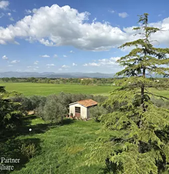 Foto annuncio 54