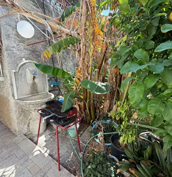 Foto annuncio 10