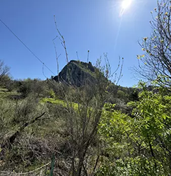 Foto annuncio 3