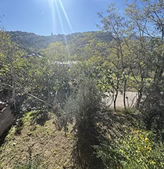 Foto annuncio 26