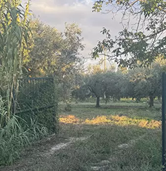 Foto annuncio 66