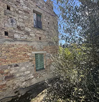 Foto annuncio 39