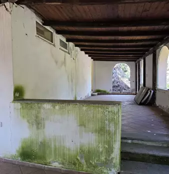 Foto annuncio 21