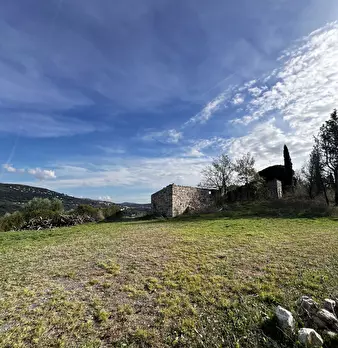 Foto annuncio 99