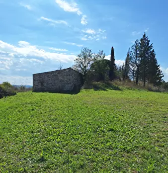 Foto annuncio 63