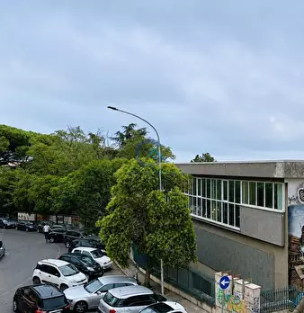 Foto annuncio 6
