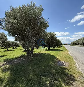 Foto annuncio 7