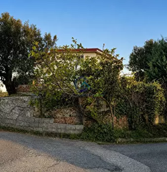 Foto annuncio 28