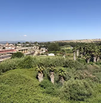 Foto annuncio 4
