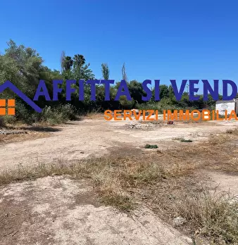 Foto annuncio 26
