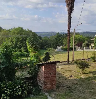 Foto annuncio 37