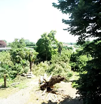 Foto annuncio 27
