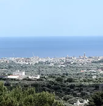 Foto annuncio 35