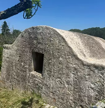Foto annuncio 11