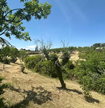 Foto annuncio 21