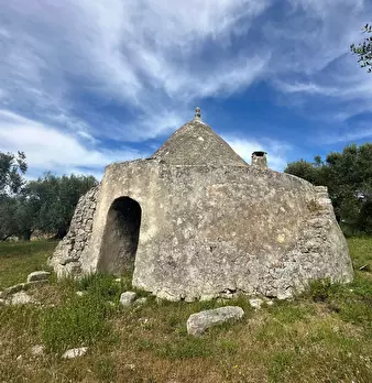 Foto annuncio 5