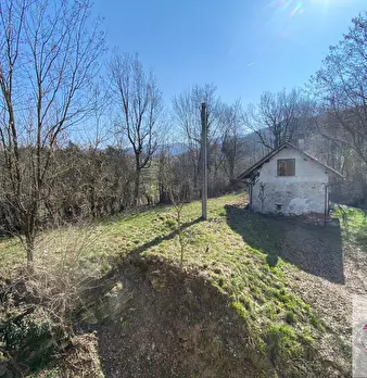 Foto annuncio 24