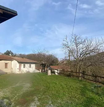 Foto annuncio 53