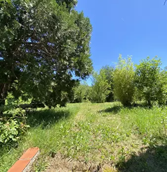 Foto annuncio 61