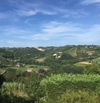 Foto annuncio 16