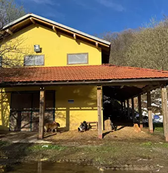 Foto annuncio 42