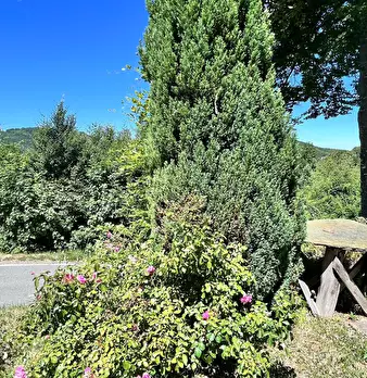 Foto annuncio 2