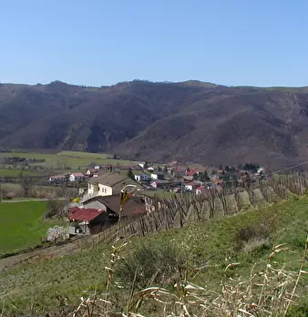 Foto annuncio 18