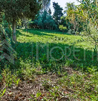 Foto annuncio 105