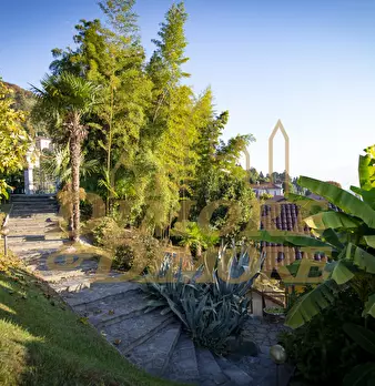 Foto annuncio 10