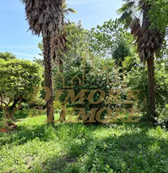 Foto annuncio 68