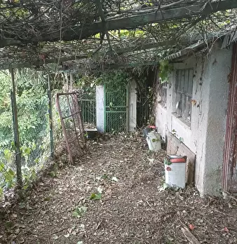 Foto annuncio 22