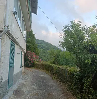 Foto annuncio 33