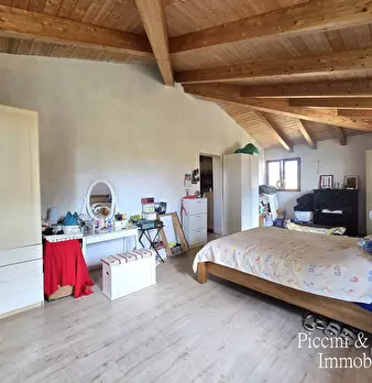 Foto annuncio 31