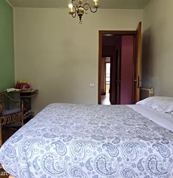 Foto annuncio 42