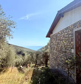Foto annuncio 14