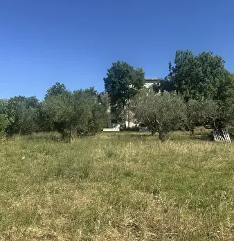 Foto annuncio 31