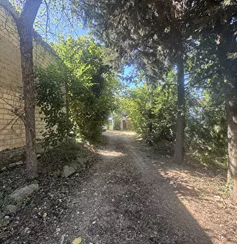 Foto annuncio 38