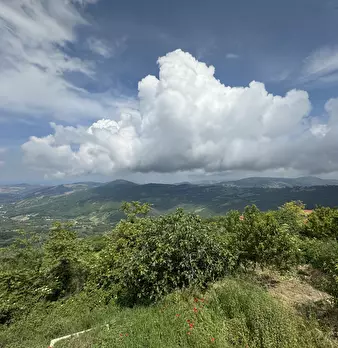Foto annuncio 28