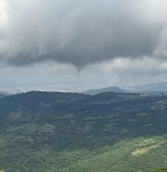 Foto annuncio 29