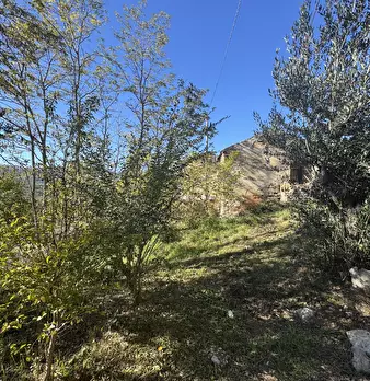 Foto annuncio 52