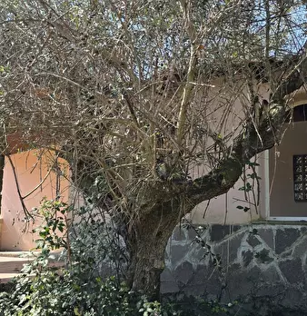Foto annuncio 18