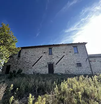 Foto annuncio 39