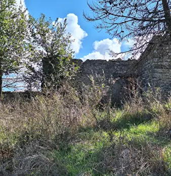 Foto annuncio 78