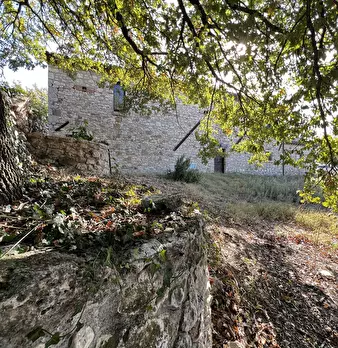Foto annuncio 83