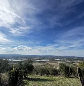 Foto annuncio 95